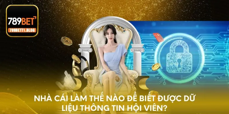Nhà cái làm thế nào để biết được dữ liệu thông tin hội viên?