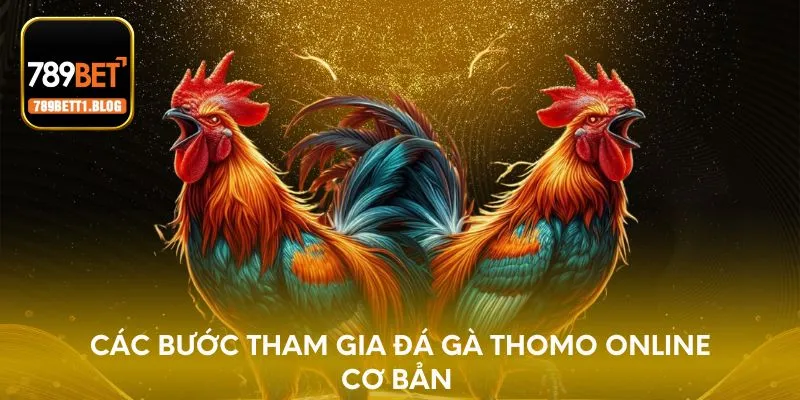 Các bước tham gia đá gà Thomo online cơ bản