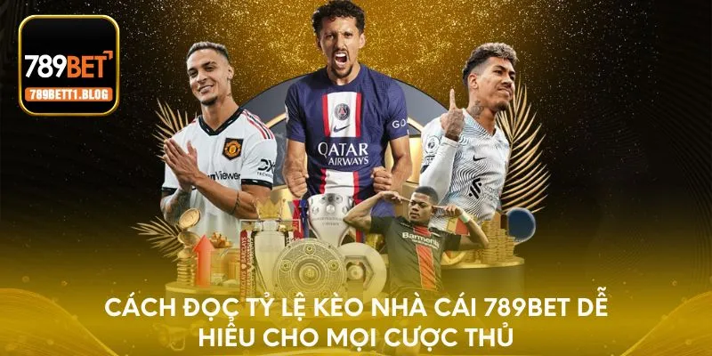 Cách đọc tỷ lệ kèo nhà cái 789BET dễ hiểu cho mọi cược thủ