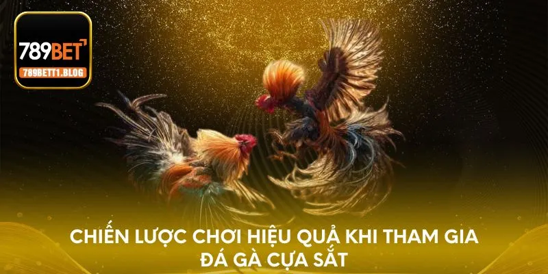 Chiến lược chơi hiệu quả khi tham gia đá gà cựa sắt