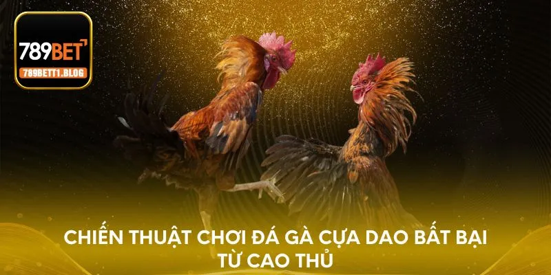 Chiến thuật chơi đá gà cựa dao bất bại từ cao thủ
