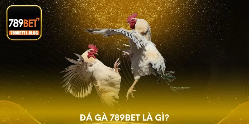 Đá gà 789BET là gì?