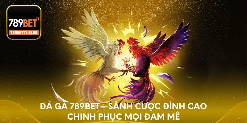 Đá gà 789BET - Sảnh cược đỉnh cao chinh phục mọi đam mê