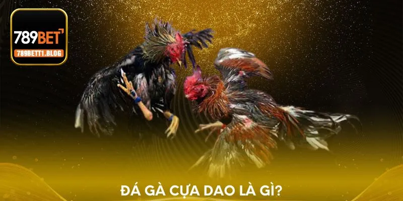 Đá gà cựa dao là gì?