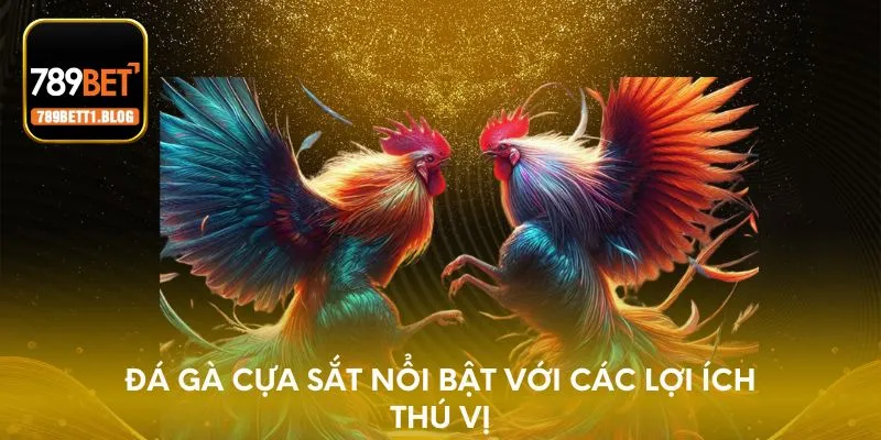 Đá gà cựa sắt nổi bật với các lợi ích thú vị