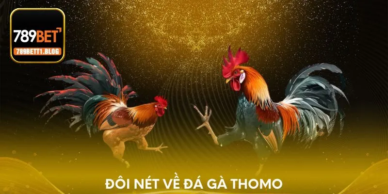 Đôi nét về đá gà Thomo