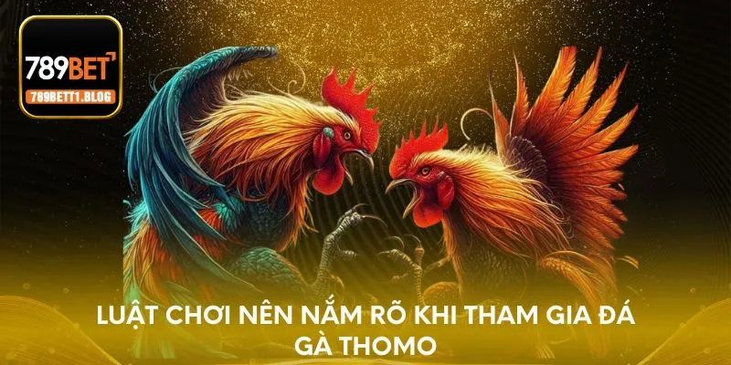 Luật chơi nên nắm rõ khi tham gia đá gà Thomo