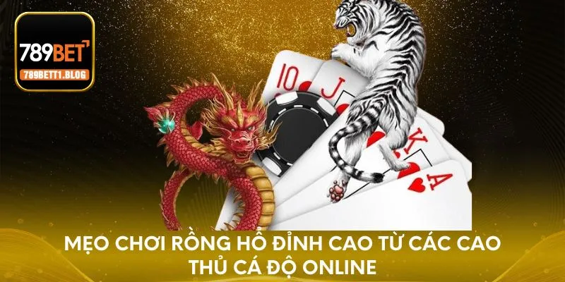 Mẹo Chơi Rồng Hổ Hiệu Quả Từ Chuyên Gia Cá Cược Online