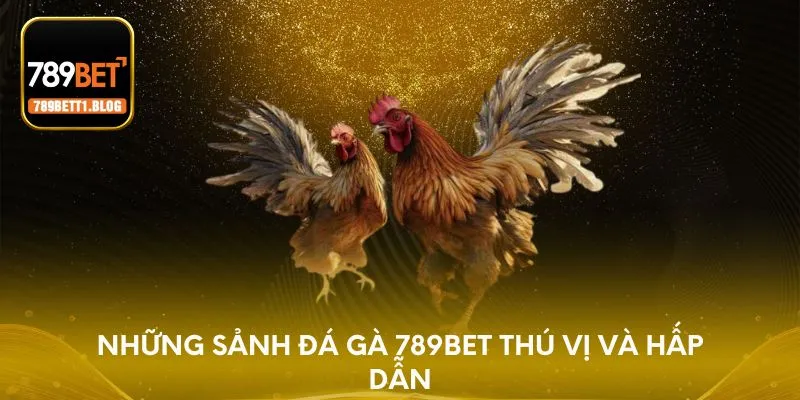 Những sảnh đá gà 789BET thú vị và hấp dẫn