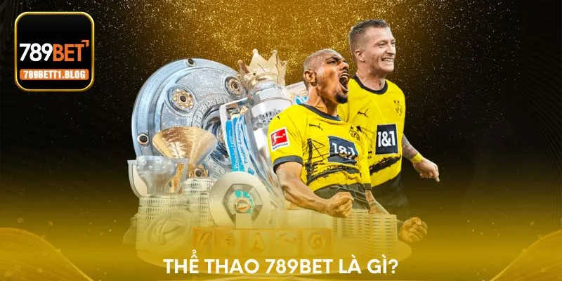Thể thao 789BET là gì?