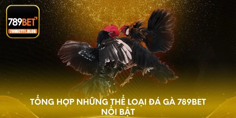 Tổng hợp những thể loại đá gà 789BET nổi bật