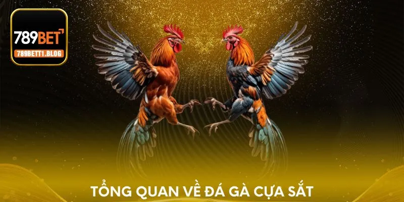 Tổng quan về đá gà cựa sắt