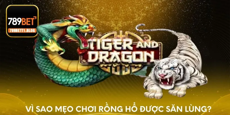 Vì sao mẹo chơi Rồng Hổ được săn lùng?